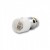Globe Atomizer Coil